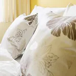 Zum Hirsch Maison d'hôtes 3*