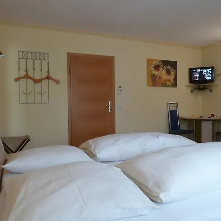 Zum Hirsch Pensionat Neukirch (Tubingen)