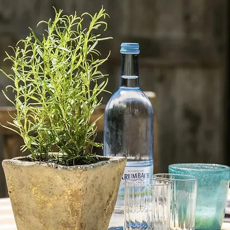 Zum Hirsch Pensionat 3*